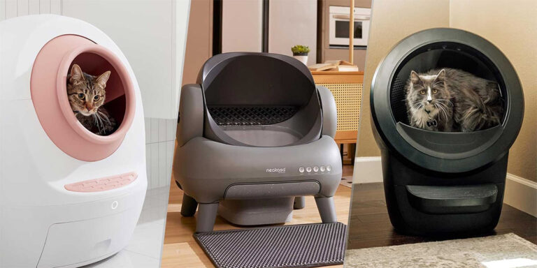 Best Automatic Litter Boxes 2025