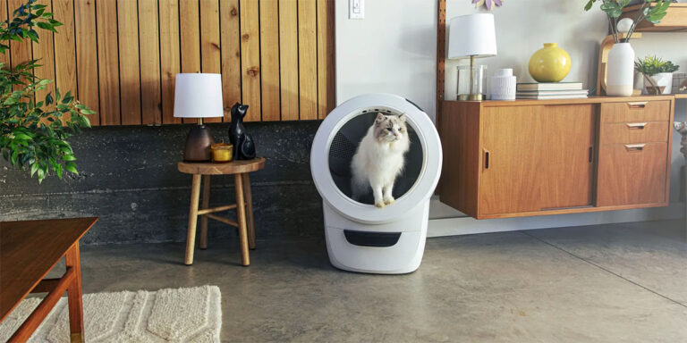 Why the Litter-Robot 4 Is the Best On the market